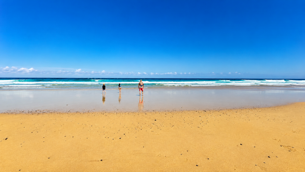 playa corralejo fuerteventura sunvilla